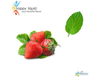 erdbeer-menthol-liquid
